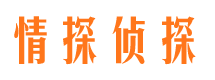 武进市调查公司